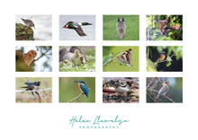 Load image into Gallery viewer, Wildlife calendar 2025
