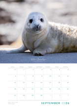 Load image into Gallery viewer, Wildlife calendar 2026
